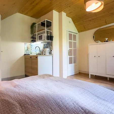 Revfueloep Panorama Kuria Daire Kovagoors