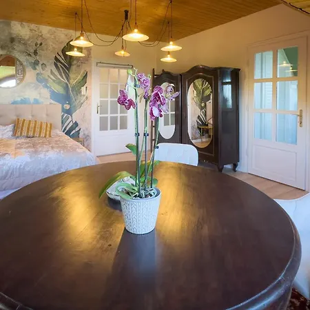 Revfueloep Panorama Kuria شقة Kovagoors