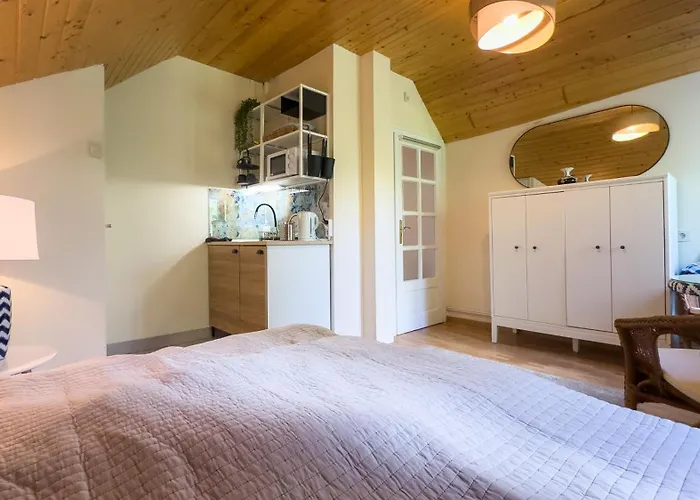 Revfueloep Panorama Kuria Апартаменты Kovagoors